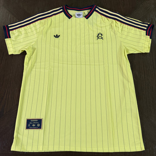 America Icon Jersey