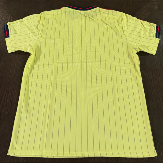 America Icon Jersey